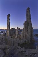 Tufa émergés au bord de Mono Lake (California, USA)